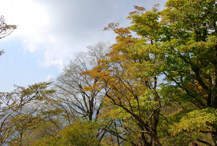 ファイル 129-3.jpg