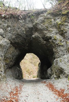 ファイル 191-5.jpg