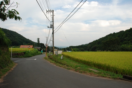ファイル 283-5.jpg