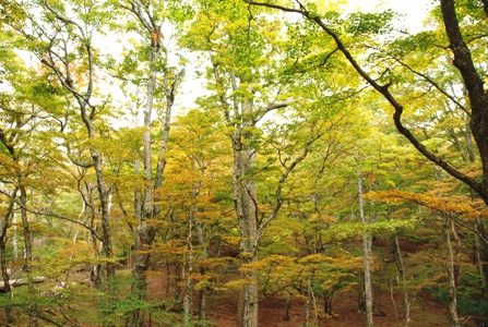 ファイル 309-1.jpg