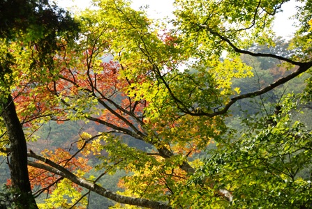 ファイル 309-2.jpg