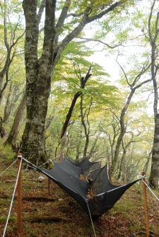 ファイル 309-3.jpg