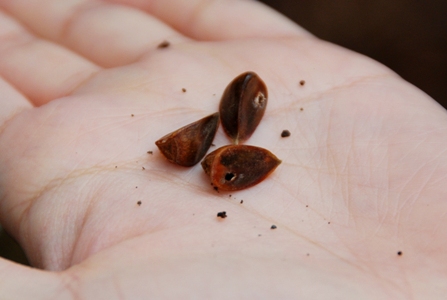 ファイル 309-4.jpg