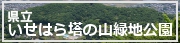 いせはら塔の山緑地公園