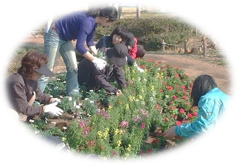 花の植栽の様子