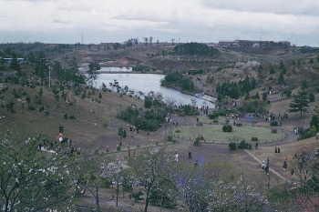 昭和37年の三ツ池公園