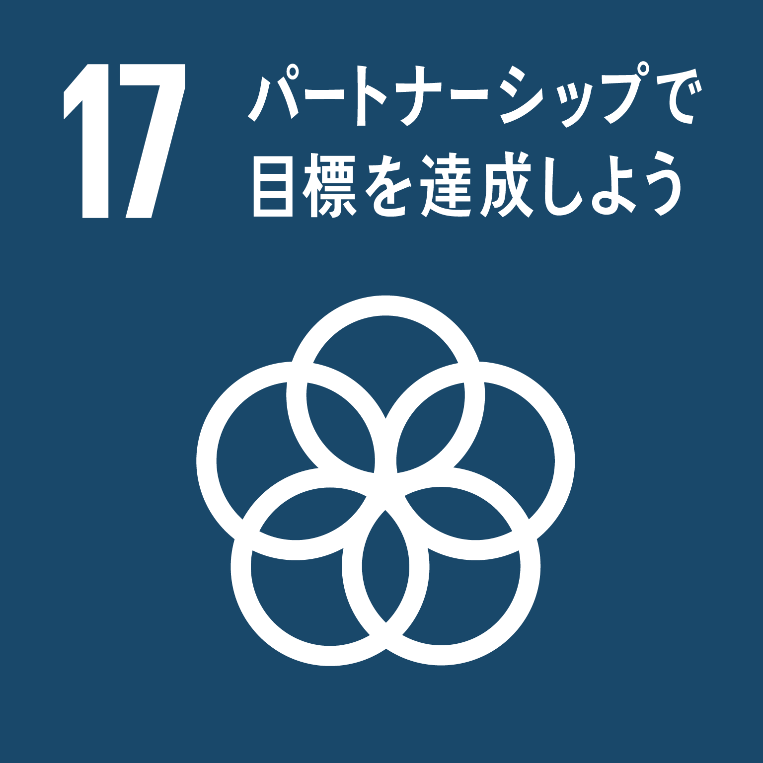 目標17：パートナーシップで目標を達成しよう