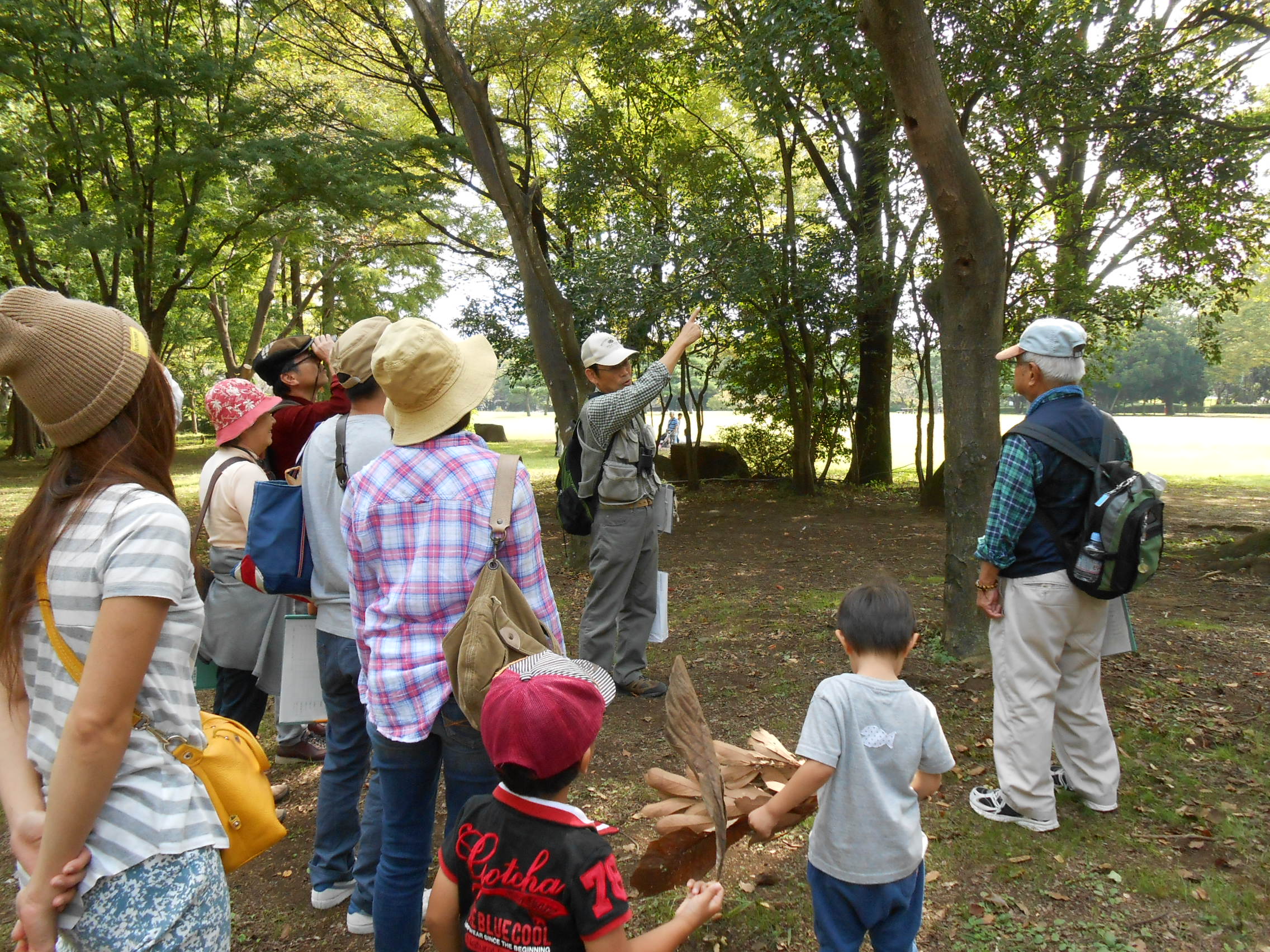 相模原公園での自然観察会