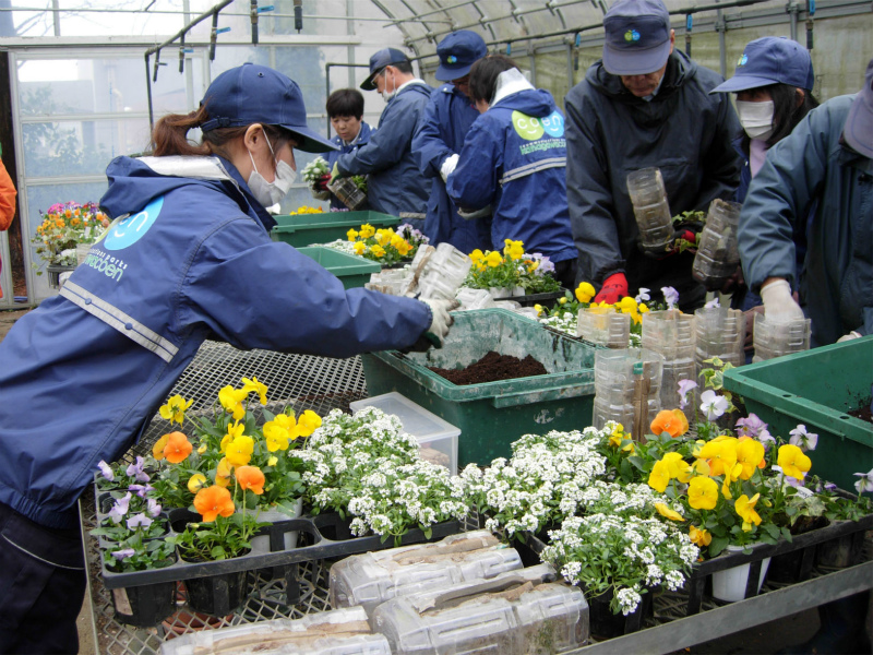 相模原公園での苗の管理