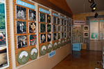 神奈川県立陣馬相模湖自然公園展示