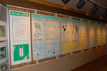 神奈川県立陣馬相模湖自然公園展示