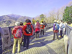 森林セラピー体験ウォーク