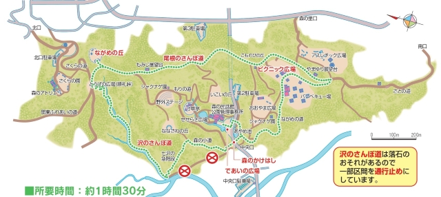 こもれび～森林満喫コース