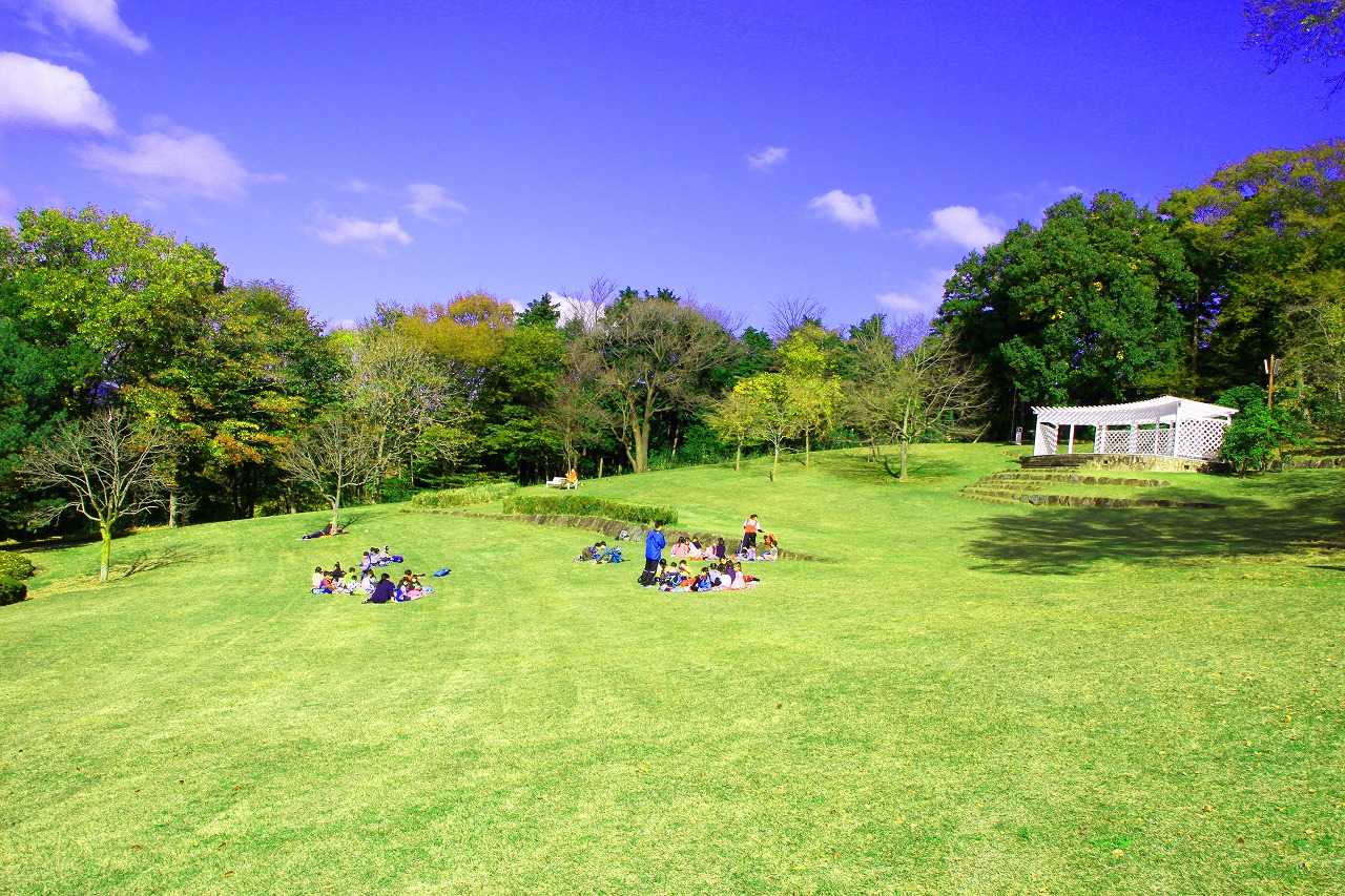 七沢森林公園の様子2