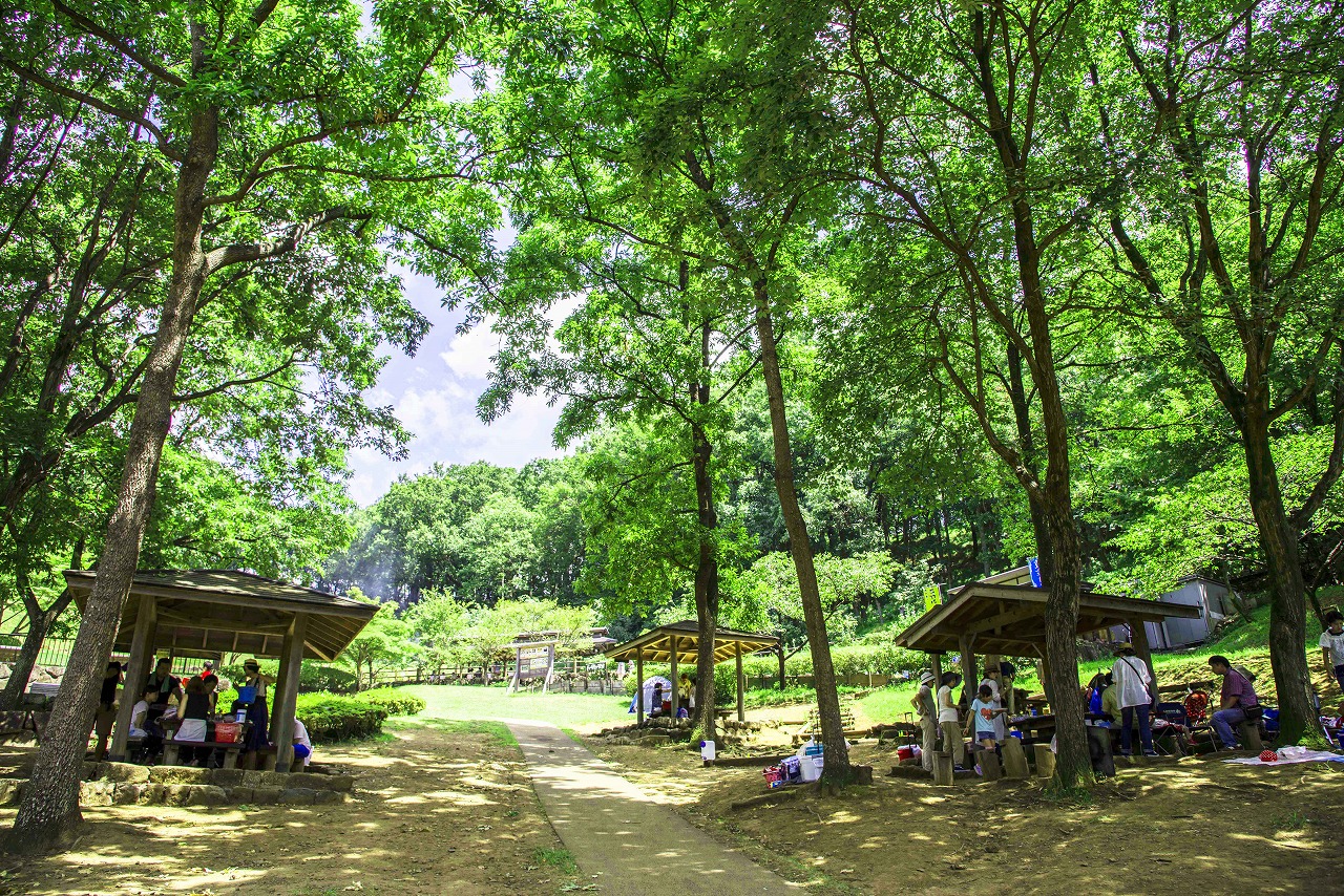 七沢森林公園の様子3