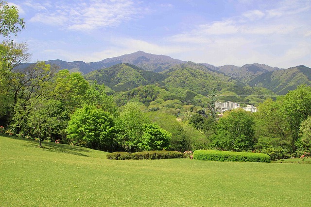 七沢森林公園の様子4