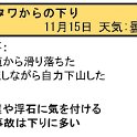 ヒヤリはっと20171115_1