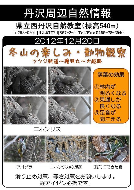 2012年12月20日