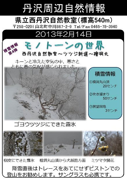 2013年2月14日