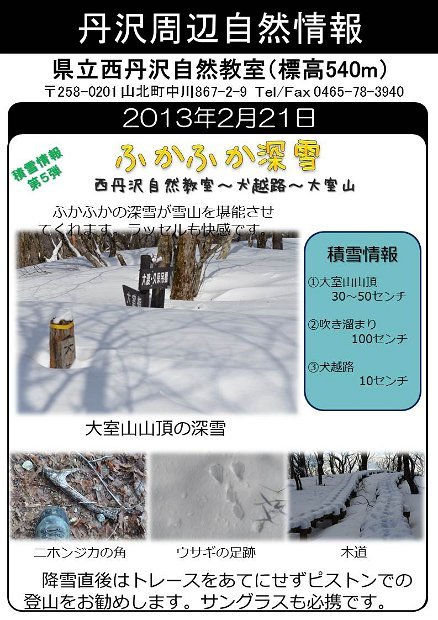 2013年2月21日