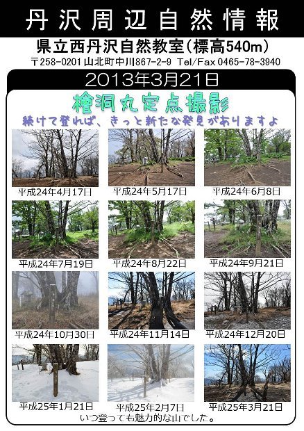 2013年3月21日