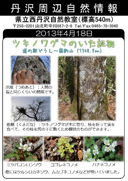 2013年4月18日
