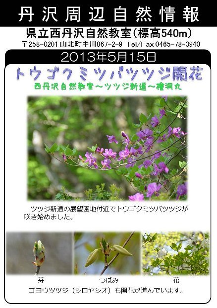 2013年5月15日