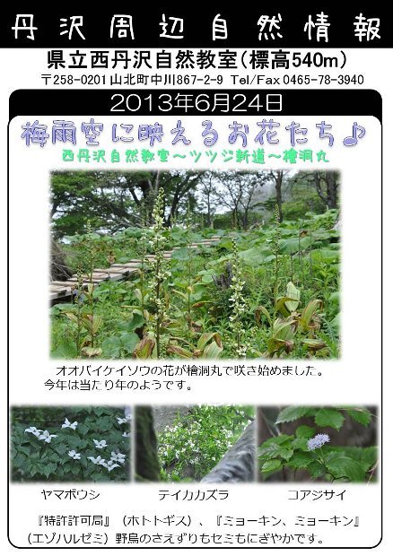 2013年6月24日
