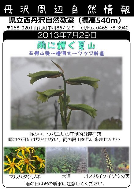 2013年7月29日
