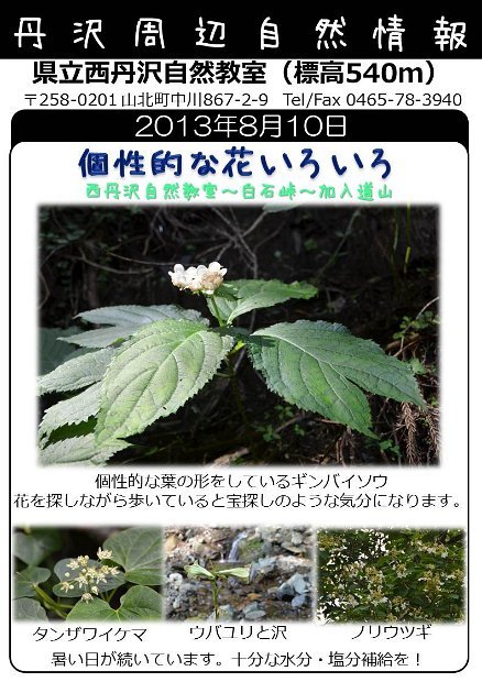 2013年8月10日