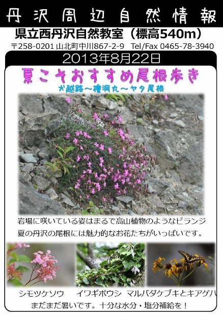 2013年8月22日