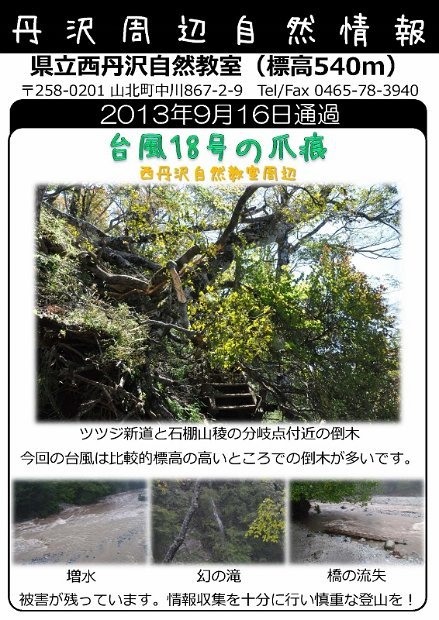 2013年9月16日