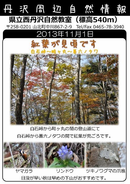2013年11月1日