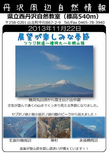 2013年11月22日