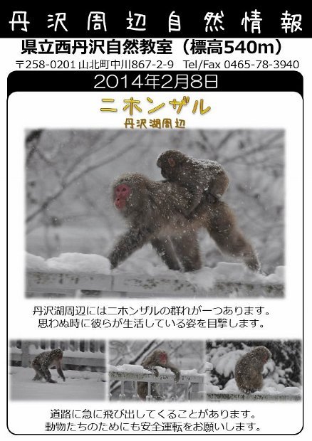 2014年2月8日