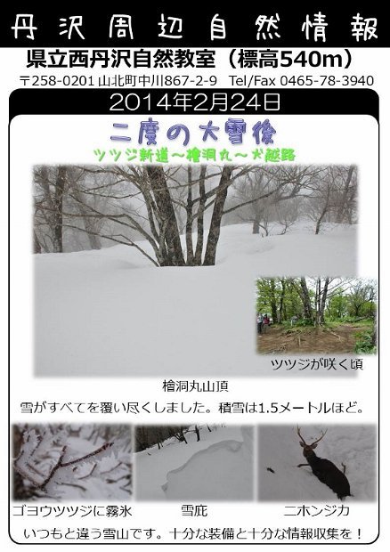 2014年2月24日
