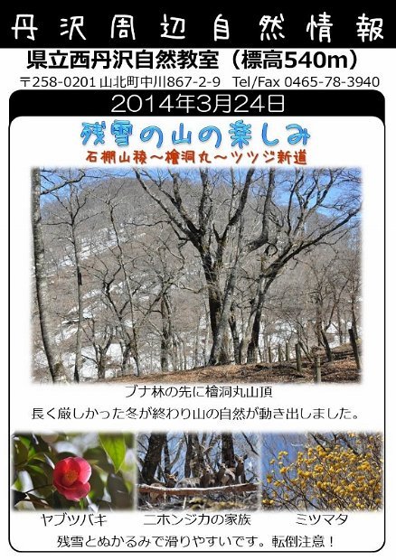 2014年3月24日