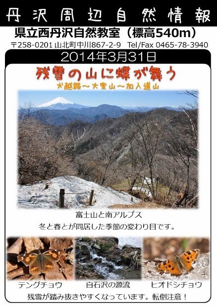 2014年3月31日