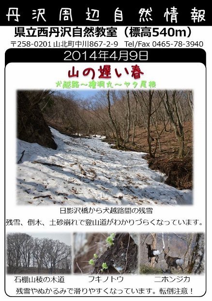 2014年4月9日