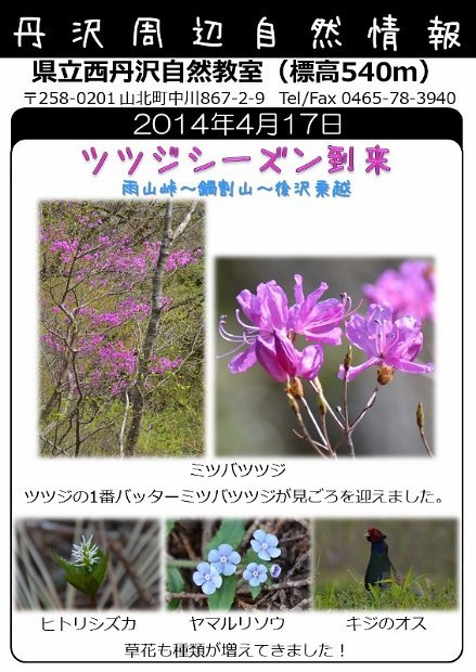 2014年4月17日