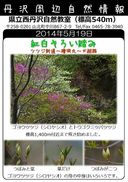 2014年5月19日