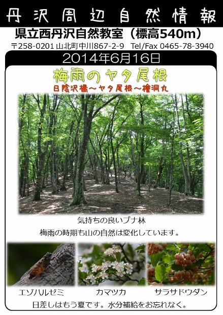 2014年6月16日