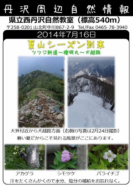 2014年7月16日
