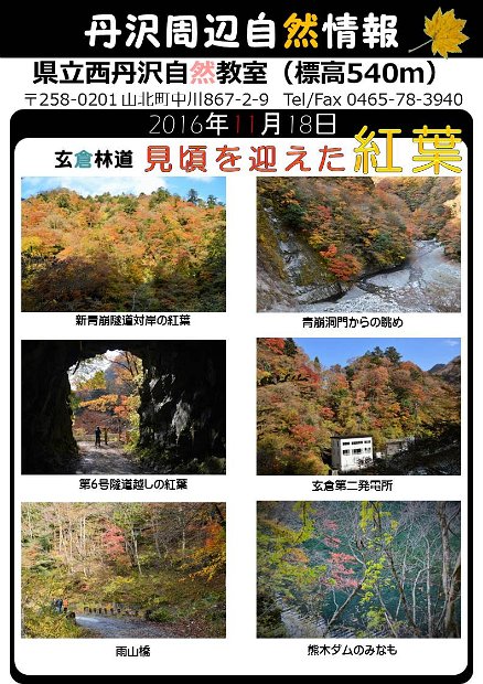 tanzawa_shuhen20161118