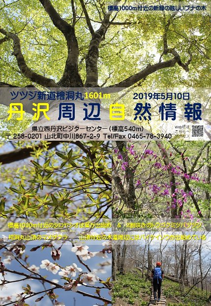 tanzawa_syuhen20190510