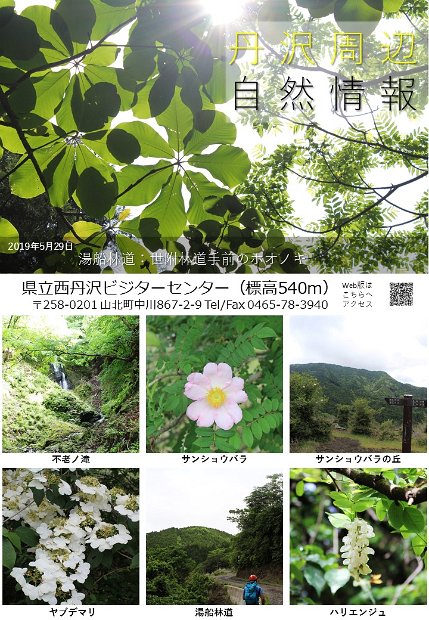 tanzawa_syuhen20190529