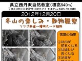 tanzawa_shuhen121220b.jpg