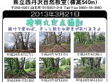 tanzawa_shuhen130321b.jpg