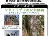 tanzawa_shuhen130418b.jpg