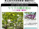 tanzawa_shuhen130522b.jpg